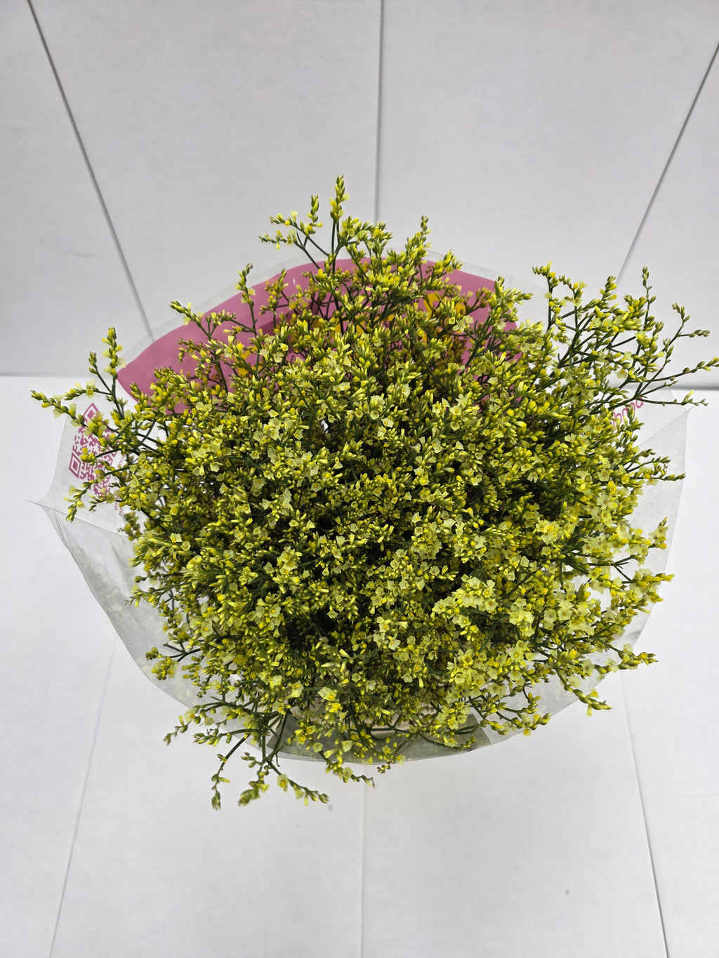 Farm Fresh Limonium Sinuatum China Yellow(Bunch of 25 stems, Length 80cm)