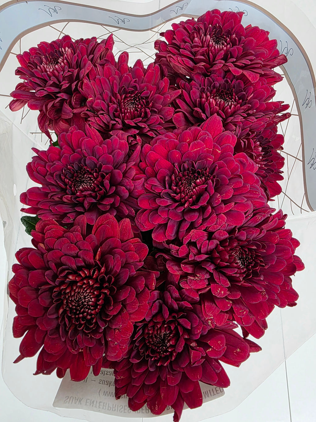 Farm Fresh Chrysanthemum G Lamira Red (Bunch of 10 stems, Length 70cm)