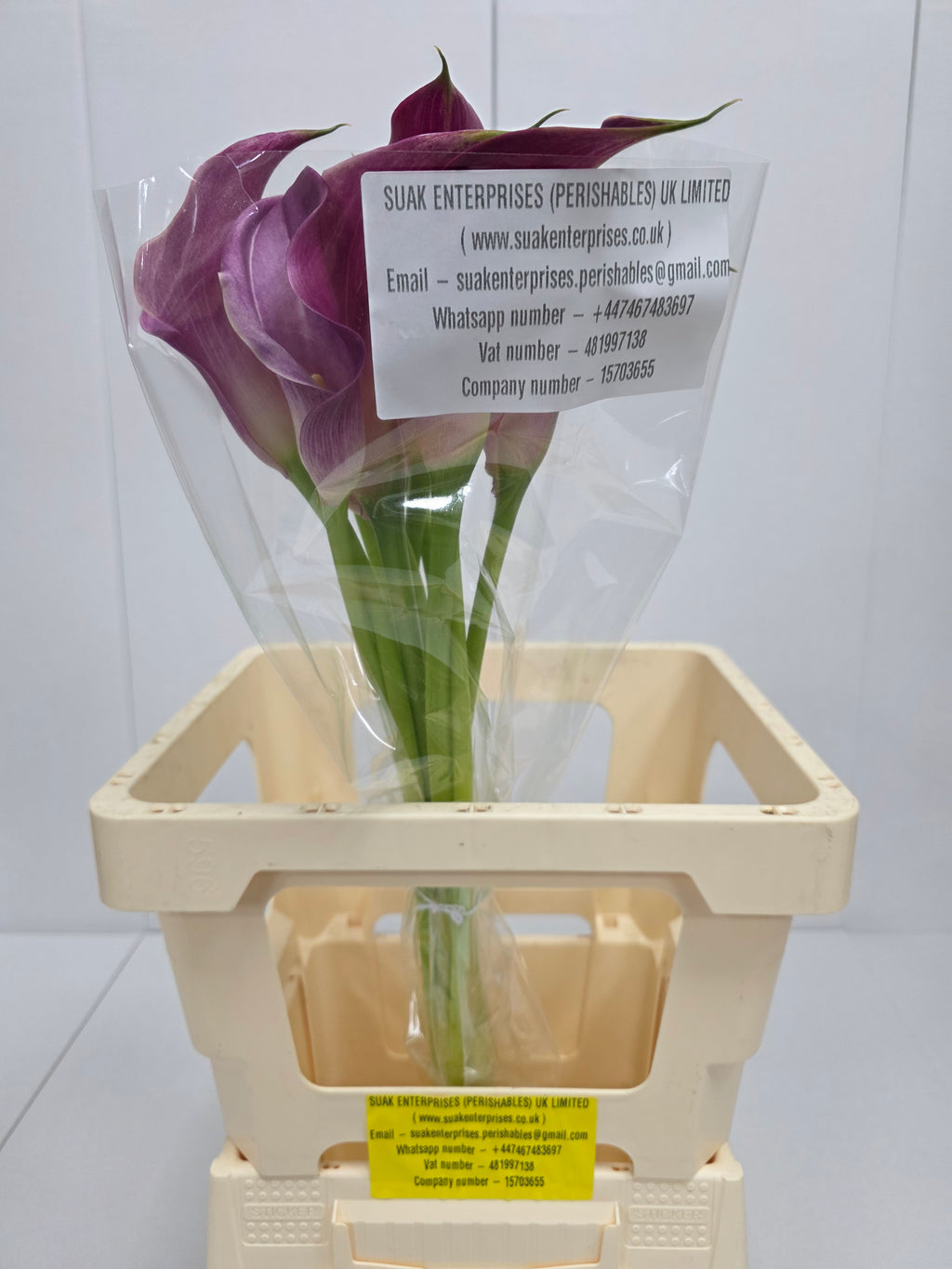 Farm Fresh Calla/Zantedeschia Pink Jewel(Bunch of 10stems, length 65cm)
