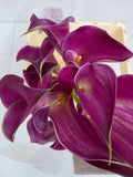 Farm Fresh Calla/Zantedeschia Pink Jewel(Bunch of 10stems, length 65cm)