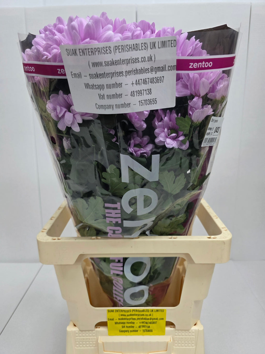 Farm Fresh Spray Chrysanthemum T Precious (Bunch of 5 stems, Length 70cm) (PACK OF 2)