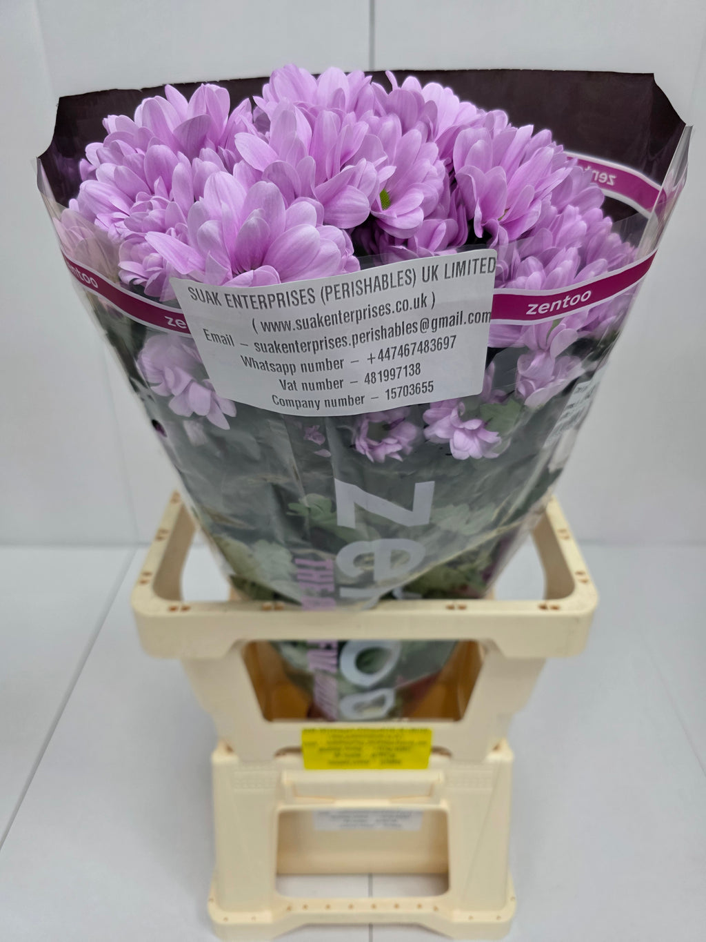 Farm Fresh Spray Chrysanthemum T Precious (Bunch of 5 stems, Length 70cm) (PACK OF 2)