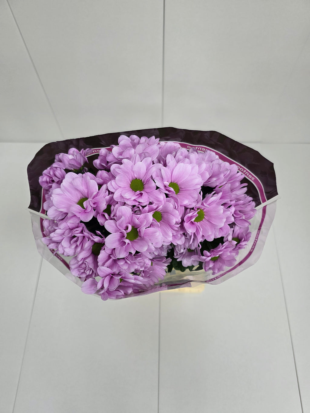 Farm Fresh Spray Chrysanthemum T Precious (Bunch of 5 stems, Length 70cm) (PACK OF 2)