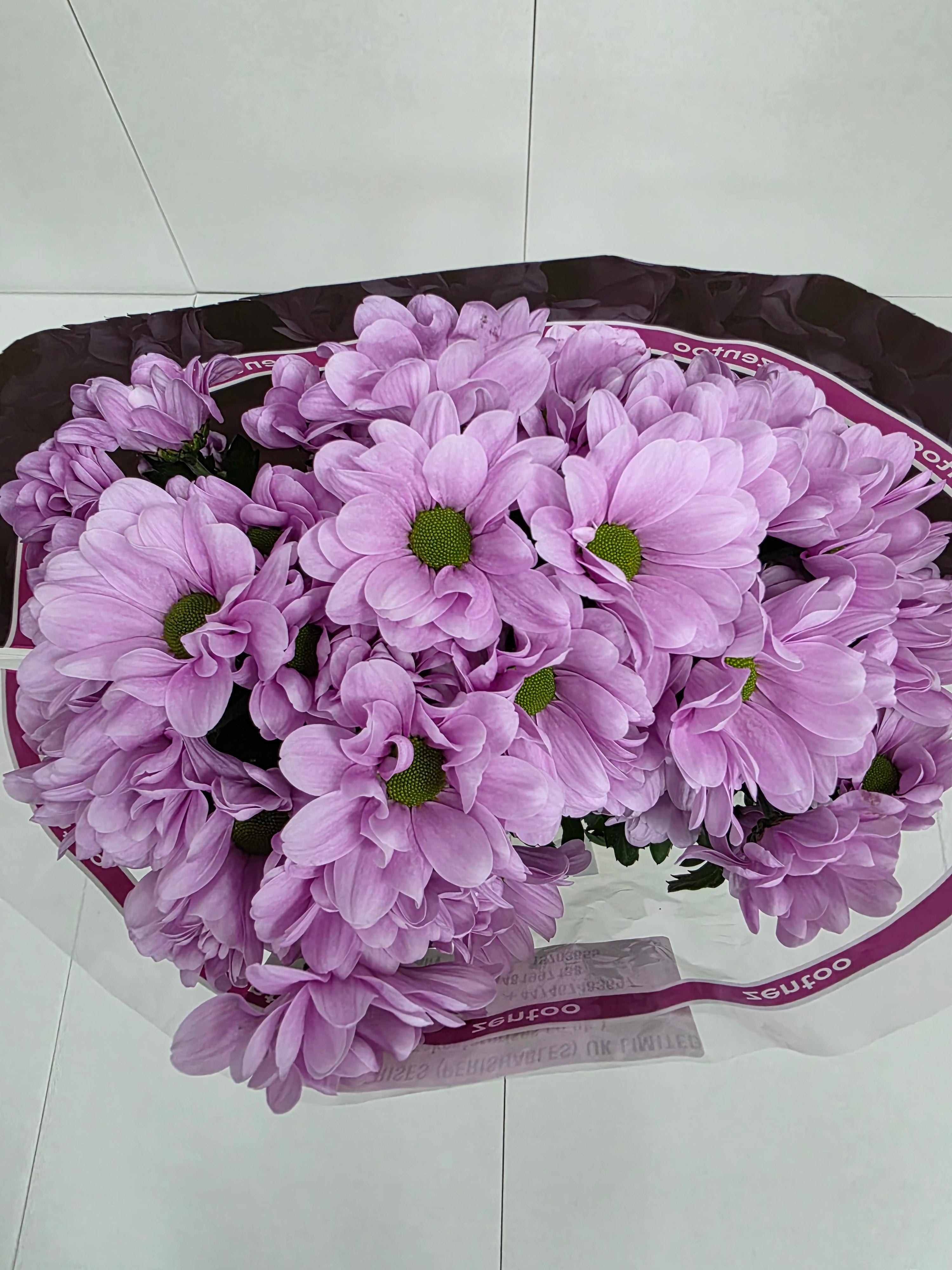 Farm Fresh Spray Chrysanthemum T Precious (Bunch of 5 stems, Length 70cm) (PACK OF 2)
