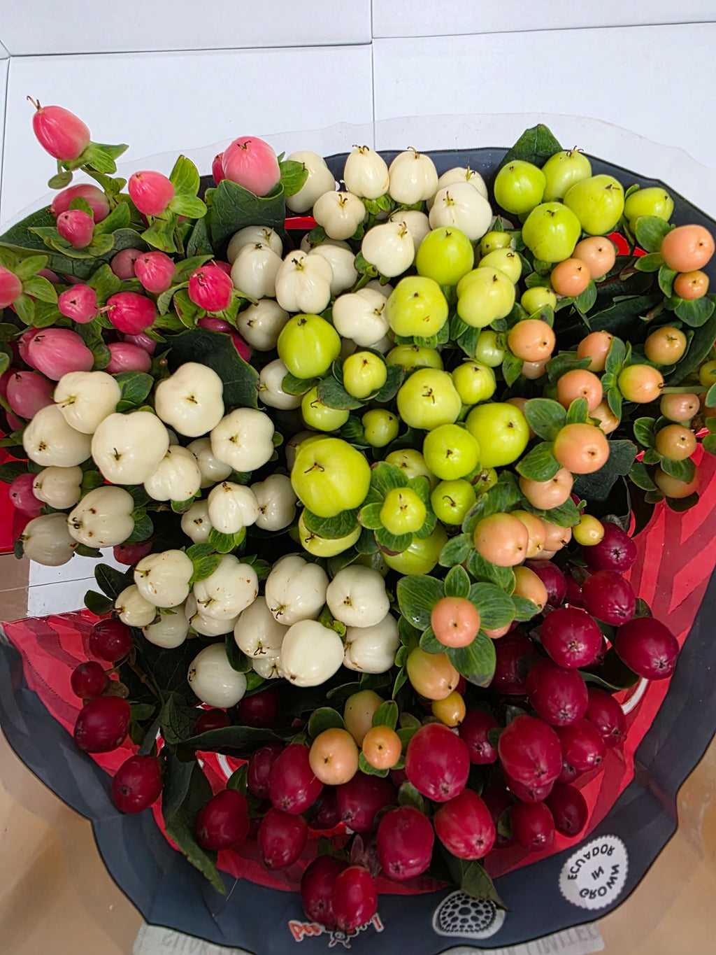 Farm Fresh Hypercium Rainbow (Bunch of 25stems, Length 50cm)