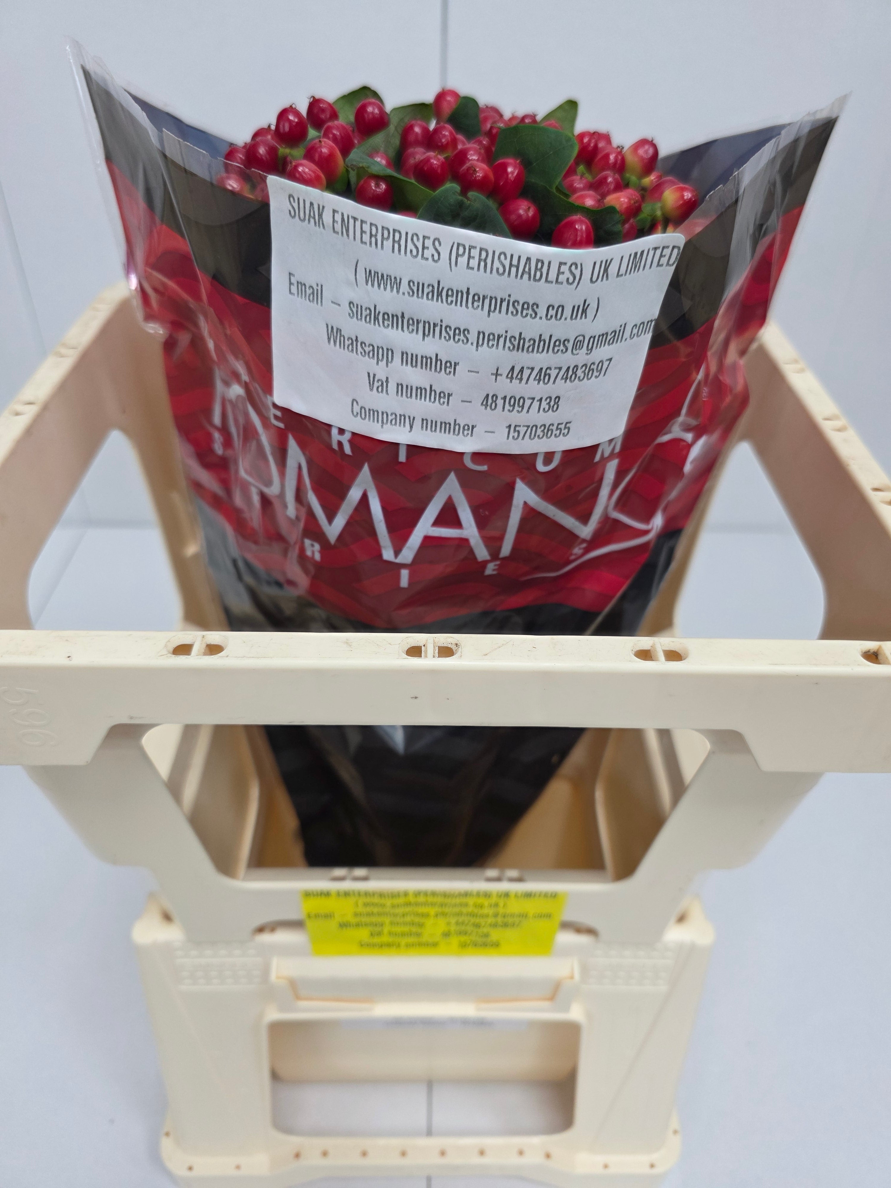 Farm Fresh Hypercium True Romance(Bunch of 25stems, Length 50cm)