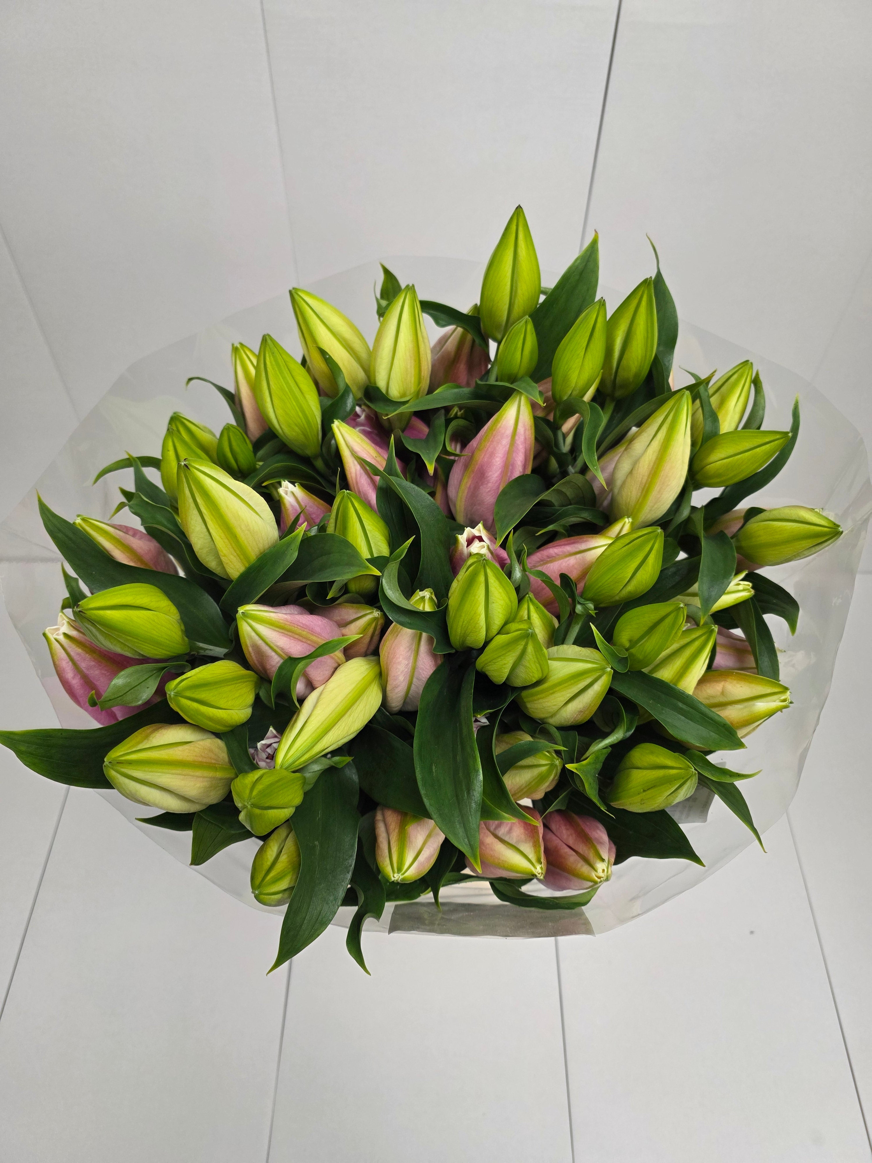 Farm Fresh Lilium Oriental Catemaco 5+(Bunch of 10stems,Length 105cm)