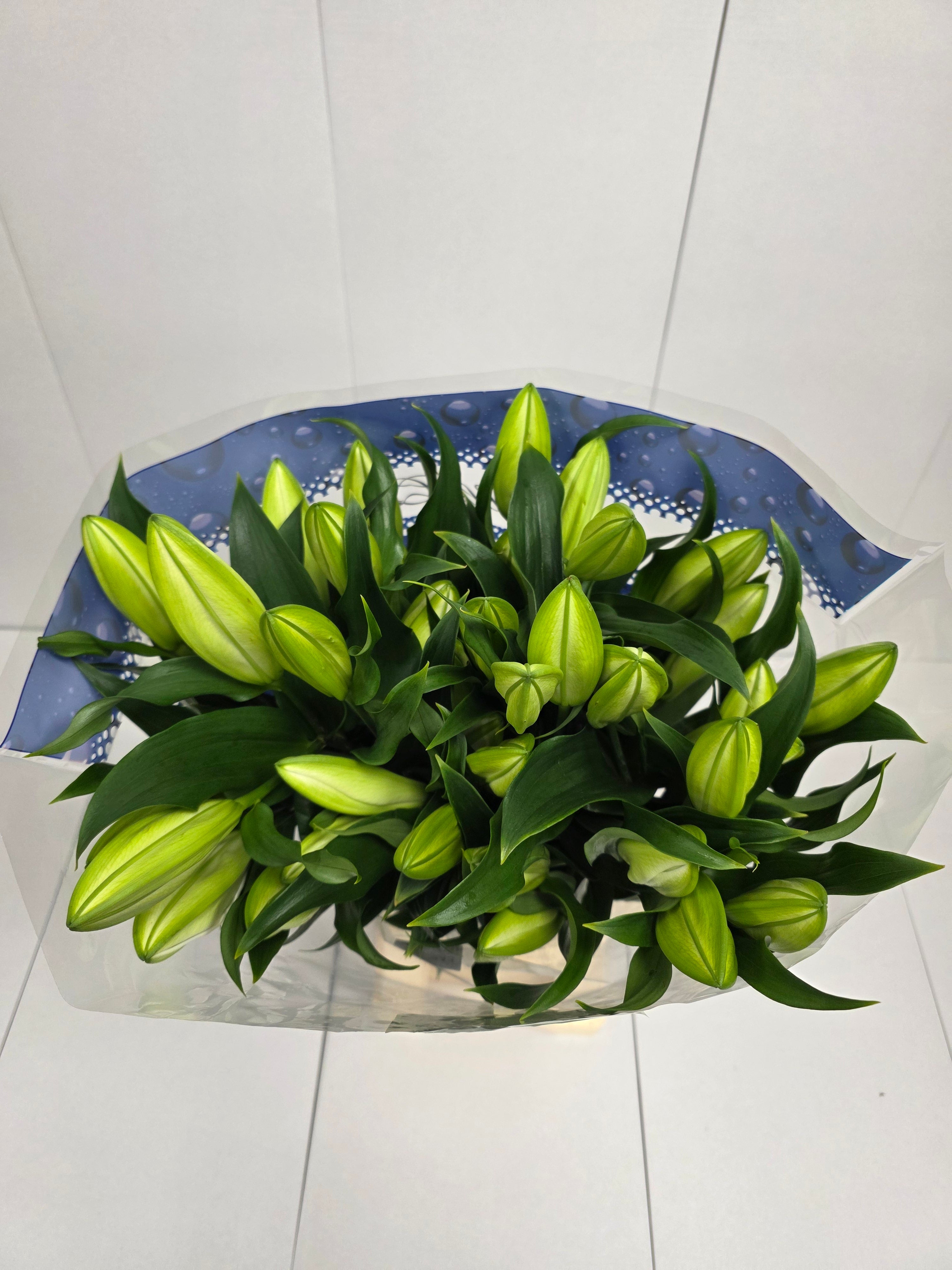 Farm Fresh Lilium Oriental Lowland 4+(Bunch of 10stems,Length 100cm)