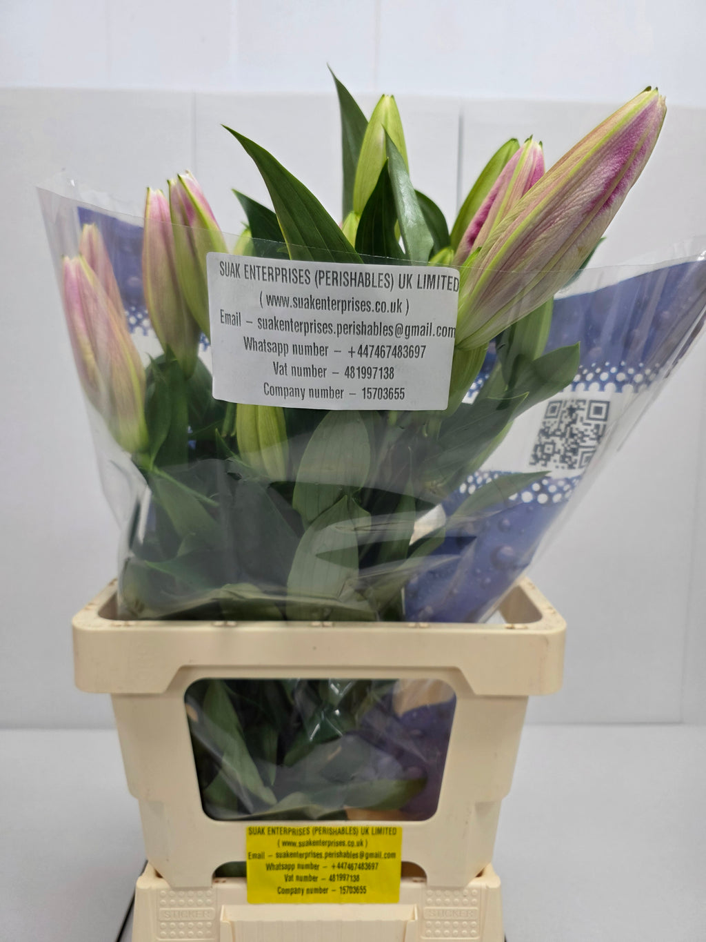 Farm Fresh Lilium Oriental Marlon 2+(Bunch of 10stems,Length 80cm)