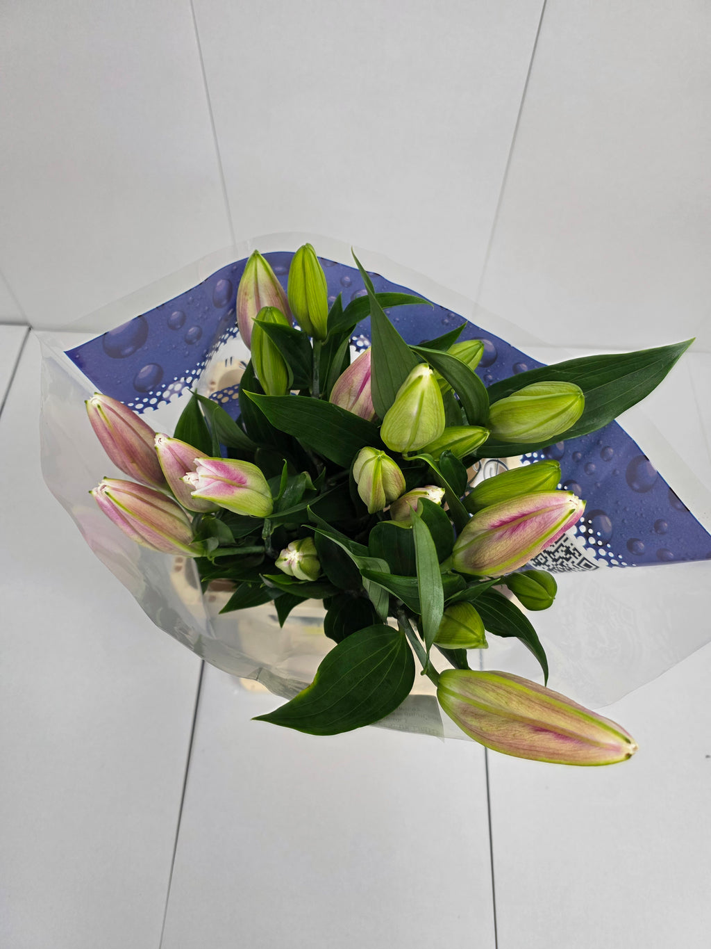 Farm Fresh Lilium Oriental Marlon 2+(Bunch of 10stems,Length 80cm)
