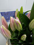 Farm Fresh Lilium Oriental Marlon 2+(Bunch of 10stems,Length 80cm)