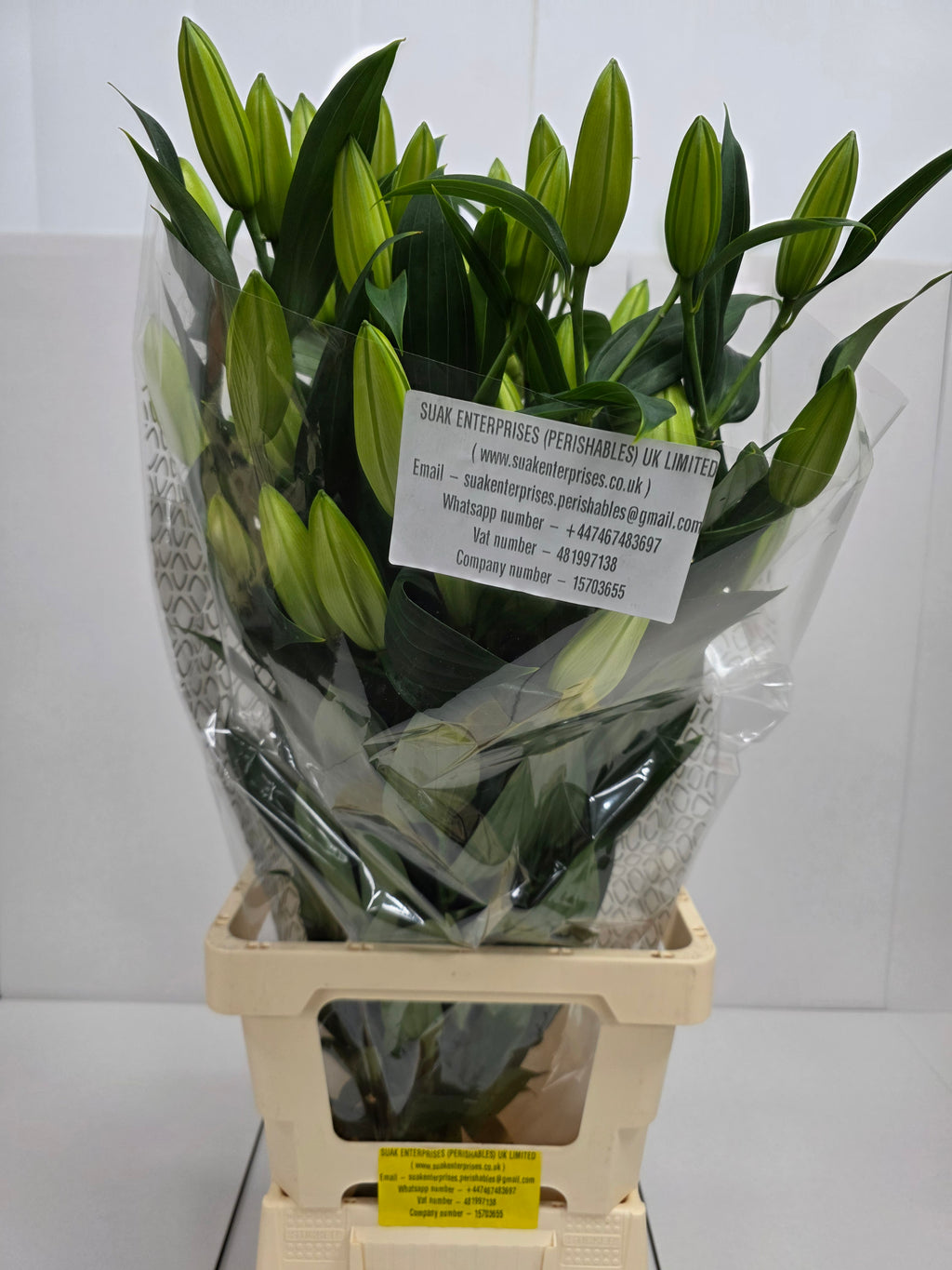 Farm Fresh Lilium Oriental Monteneu(Bunch of 10stems,Length 90cm)