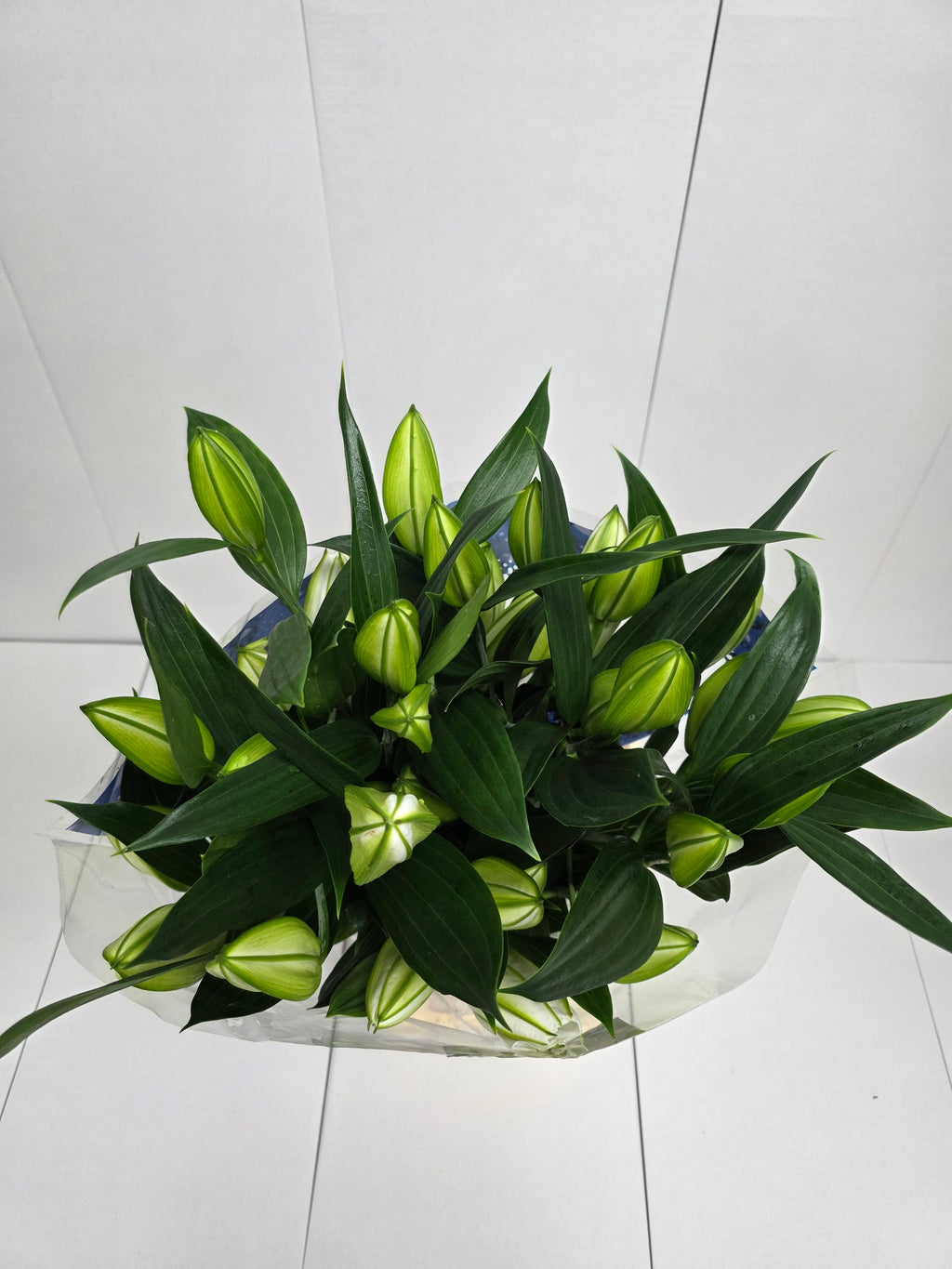 Farm Fresh Lilium Oriental Sisto 4+(Bunch of 10stems,Length 95cm)