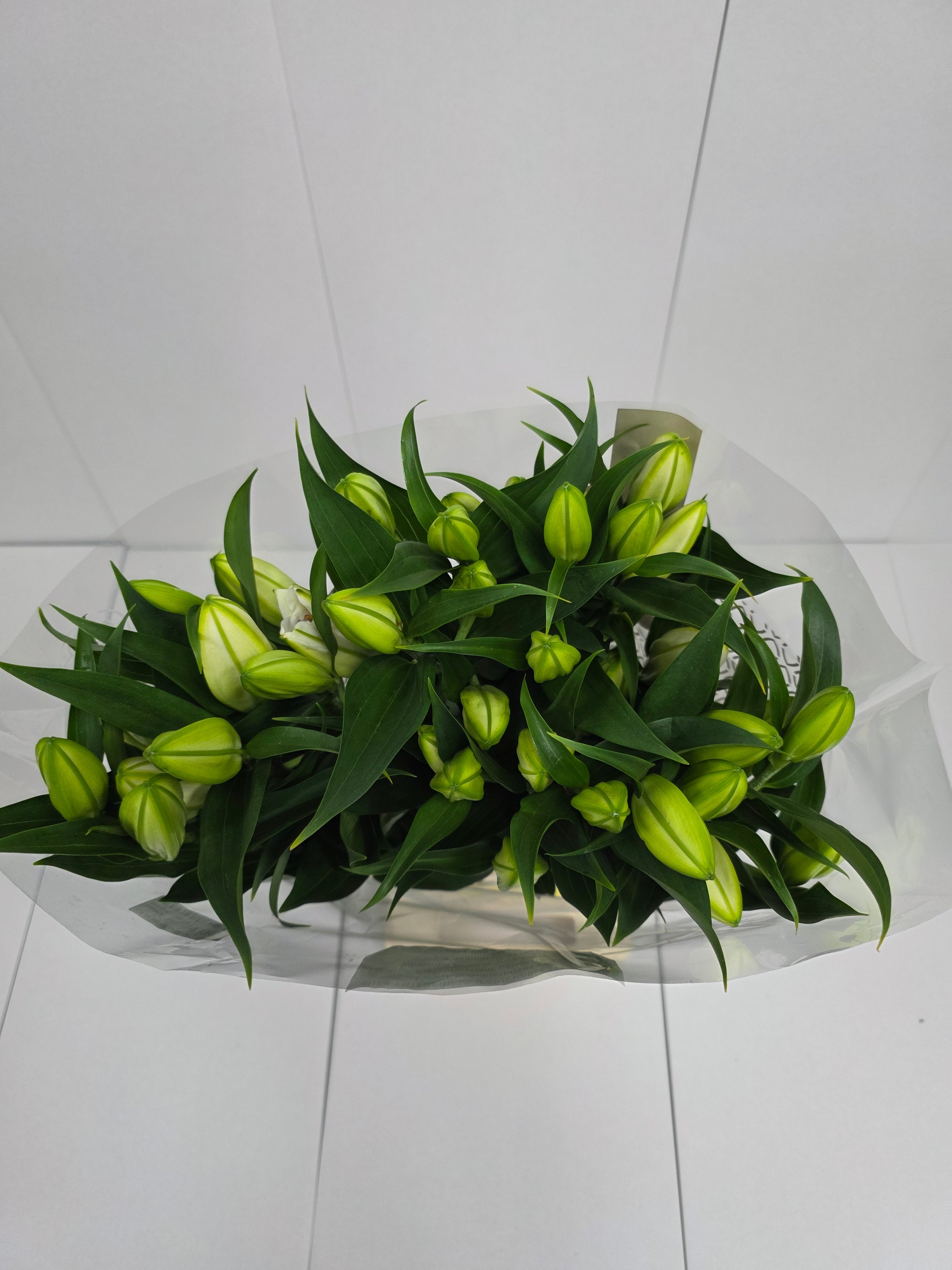 Farm Fresh Lilium Oriental White Passion 4+(Bunch of 10stems,Length 90cm)