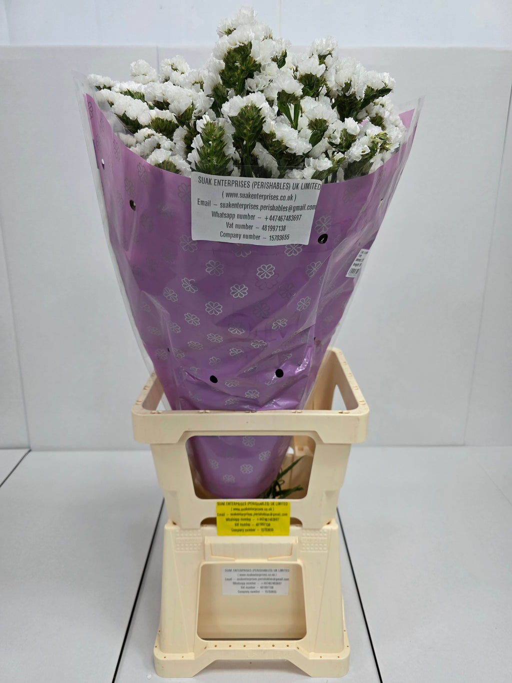 Farm Fresh Limonium S Silvery Sun Birds(Bunch of 25 stems, length 80cm)