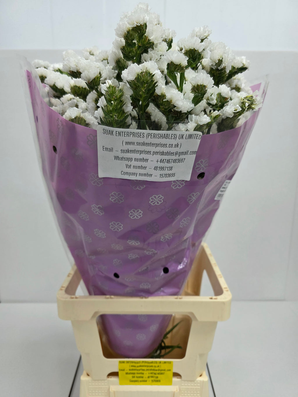 Farm Fresh Limonium S Silvery Sun Birds(Bunch of 25 stems, length 80cm)