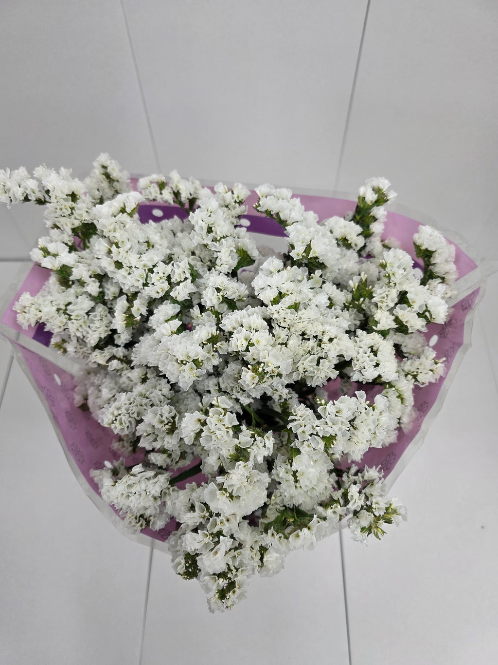 Farm Fresh Limonium S Silvery Sun Birds(Bunch of 25 stems, length 80cm)