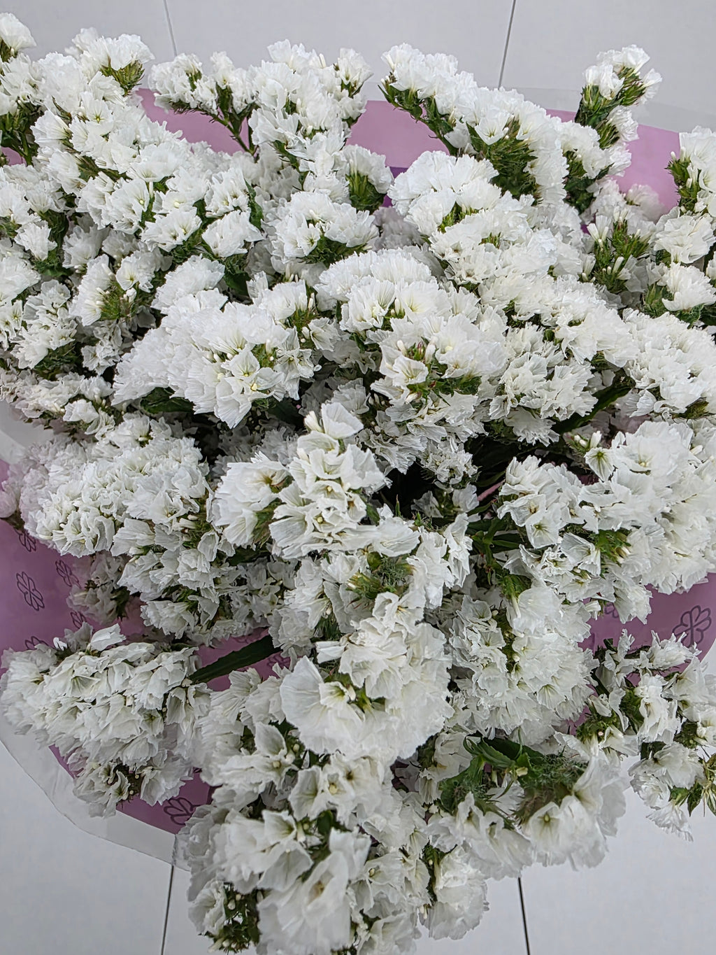 Farm Fresh Limonium S Silvery Sun Birds(Bunch of 25 stems, length 80cm)