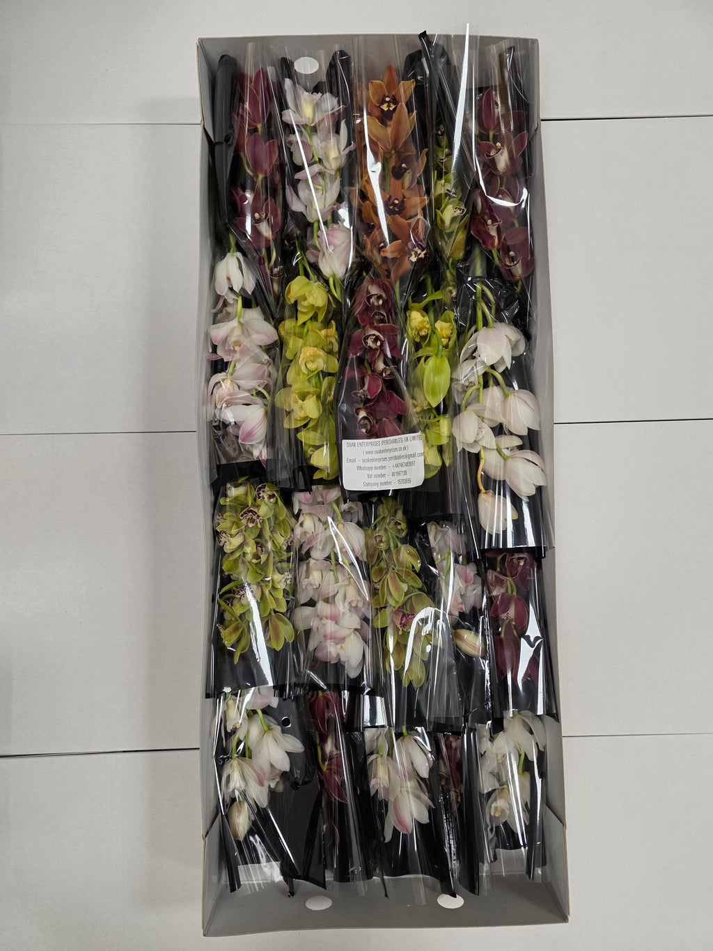Farm Fresh orchid/Cymbidium Mi Gemengd By Box (Box of 20 stems, Length 50cm)