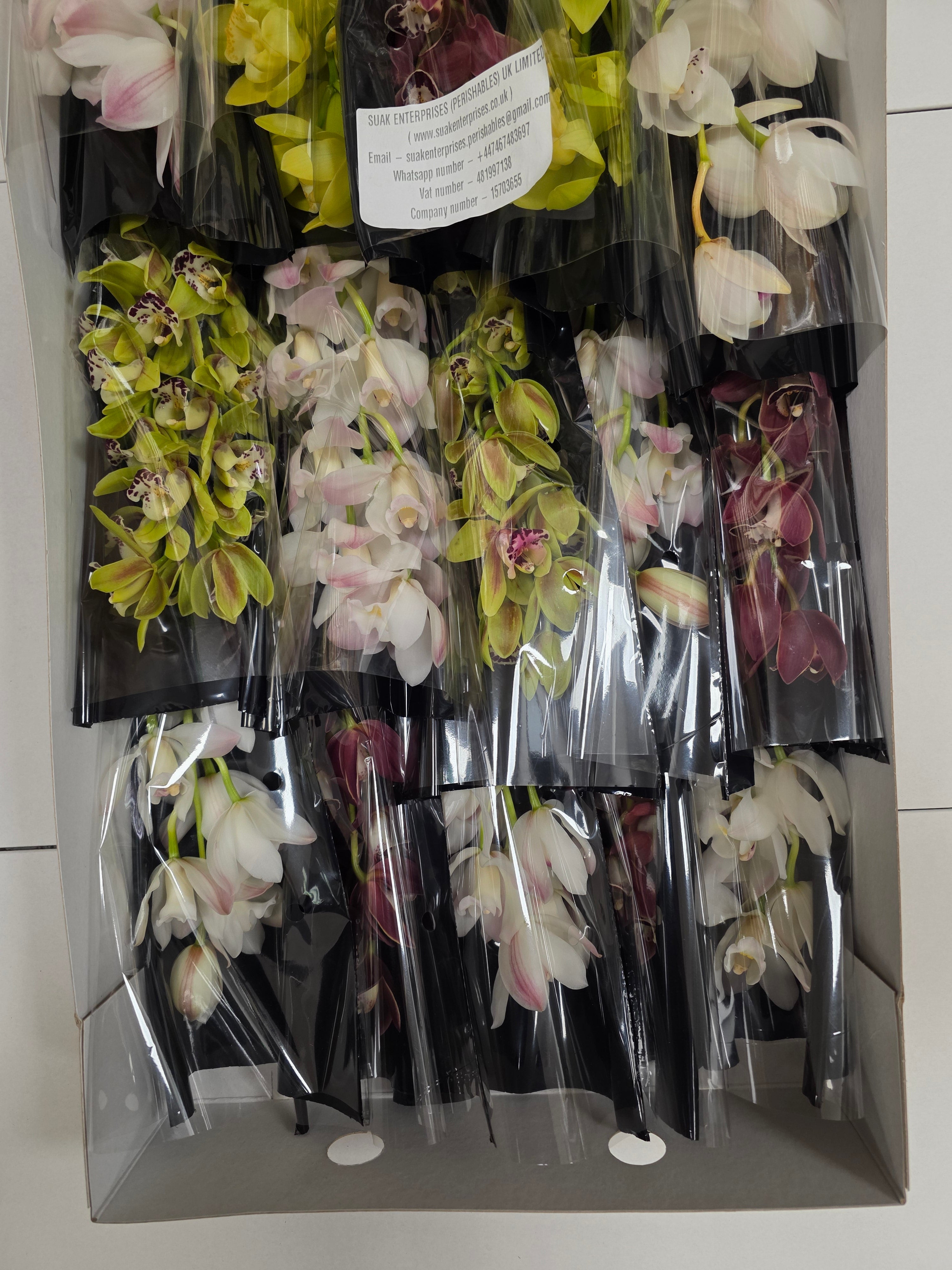 Farm Fresh Orchid/Cymbidium Mini Gemengd By Box ( Box of 20 Stems, Length -40cm )