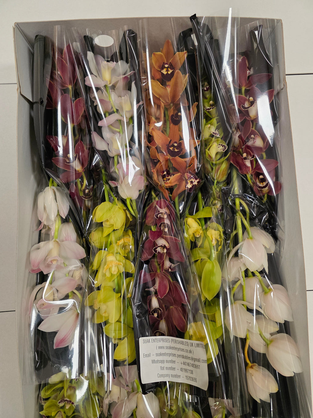 Farm Fresh Orchid/Cymbidium Mini Gemengd By Box ( Box of 20 Stems, Length -40cm )