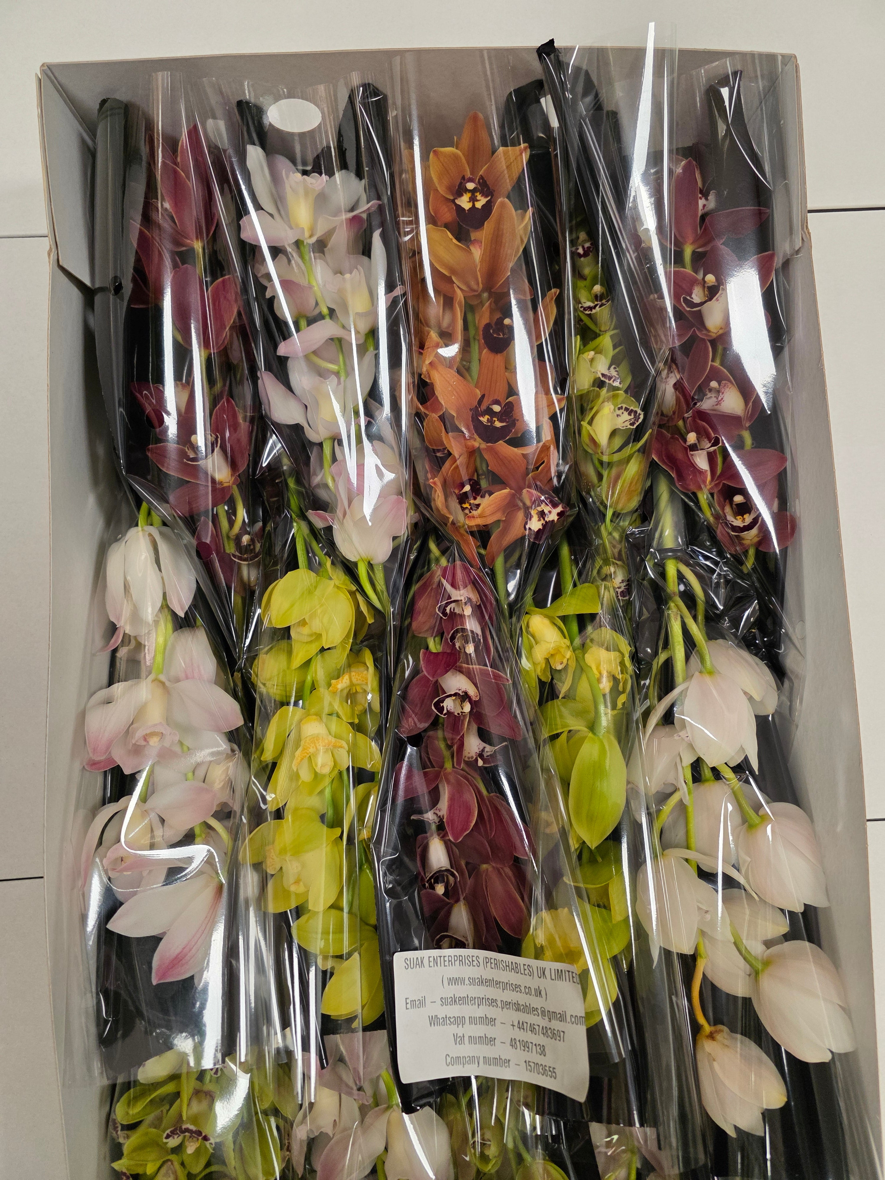 Farm Fresh Orchid/Cymbidium Mini Gemengd By Box ( Box of 20 Stems, Length -40cm )