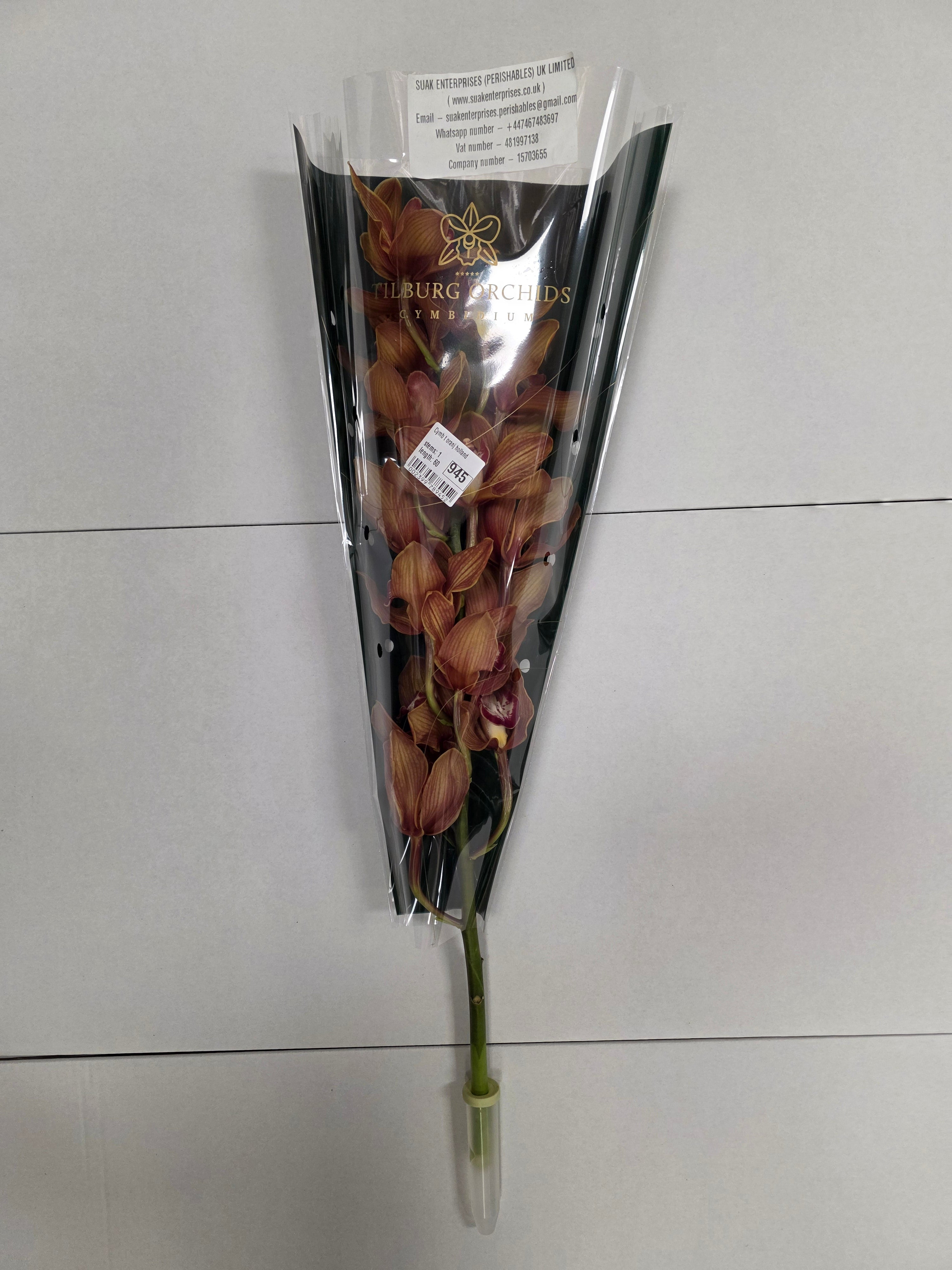 Farm Fresh orchid/Cymbidium T Oranj Holland(Bunch of 1 stem, Length 50cm)