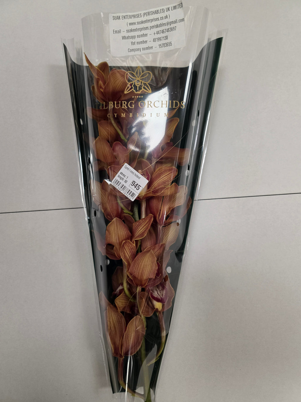 Farm Fresh orchid/Cymbidium T Oranj Holland(Bunch of 1 stem, Length 50cm)