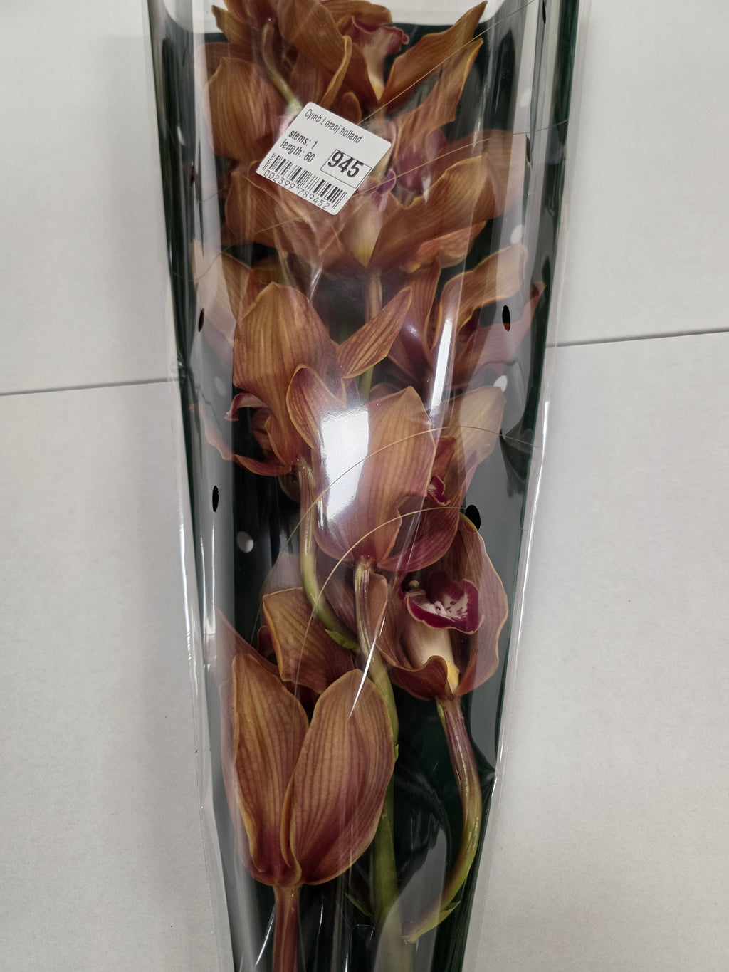 Farm Fresh orchid/Cymbidium T Oranj Holland(Bunch of 1 stem, Length 50cm)