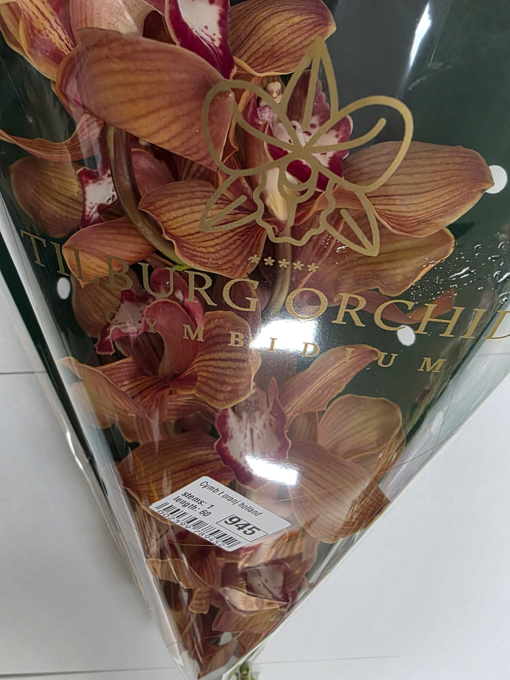 Farm Fresh Orchid/Cymbidium Tak Oranj Holland  (Bunch of 1 stems, Length 60cm)