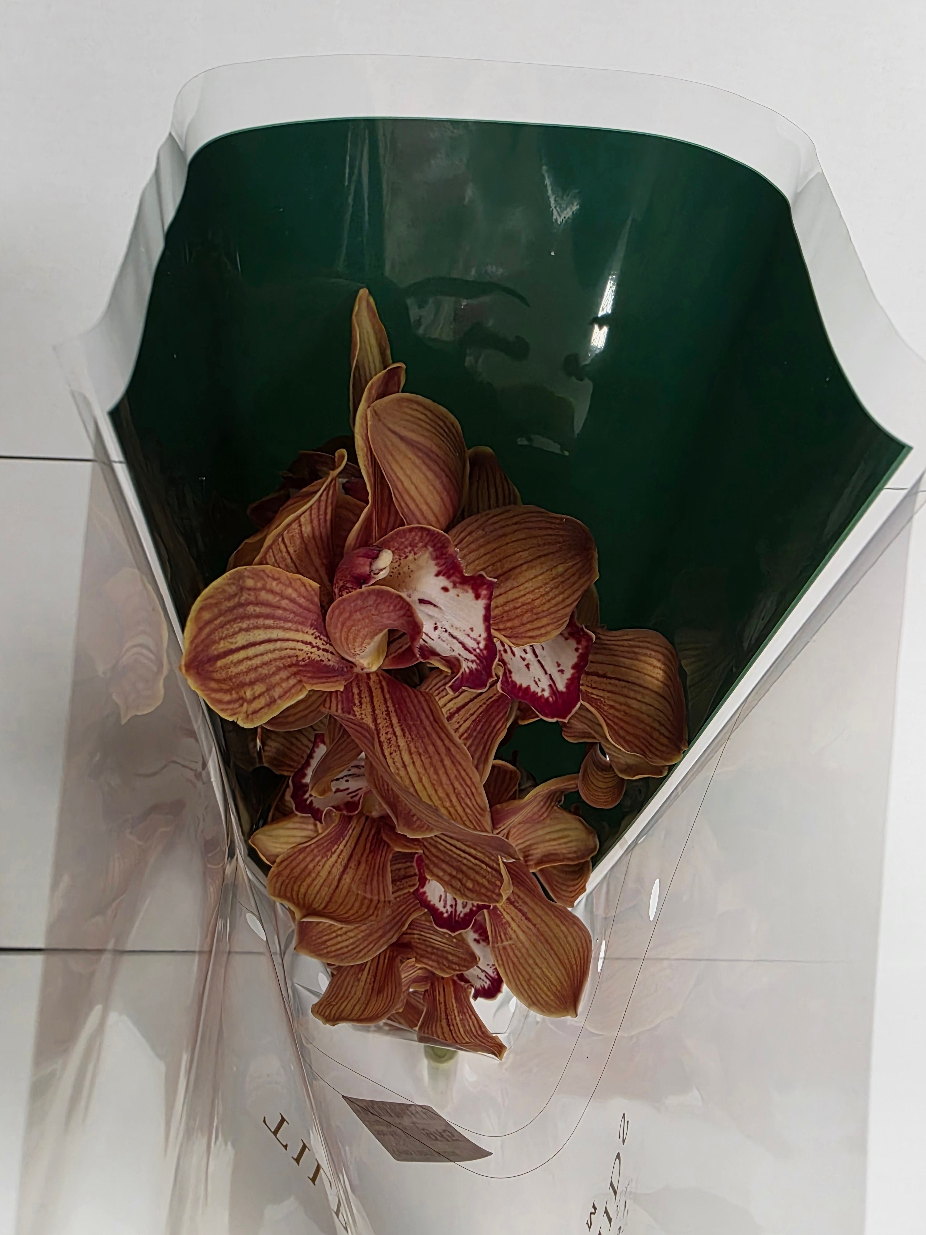 Farm Fresh Orchid/Cymbidium Tak Oranj Holland  (Bunch of 1 stems, Length 60cm)