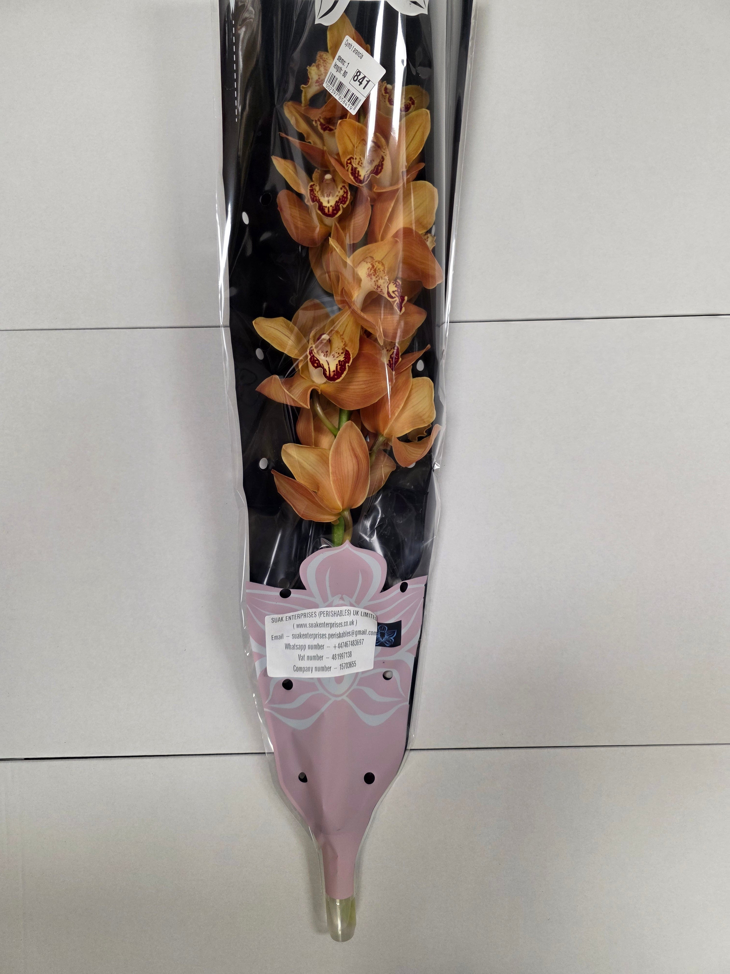 Farm Fresh Orchid/Cymbidium Tak Arancia (Bunch of 1 stems, Length 80cm)