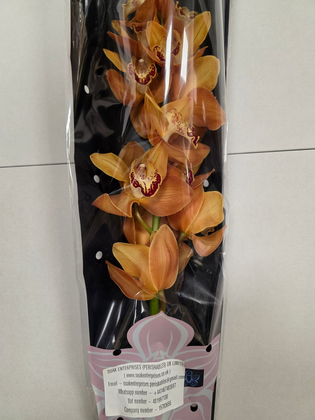 Farm Fresh Orchid/Cymbidium Tak Arancia (Bunch of 1 stems, Length 80cm)
