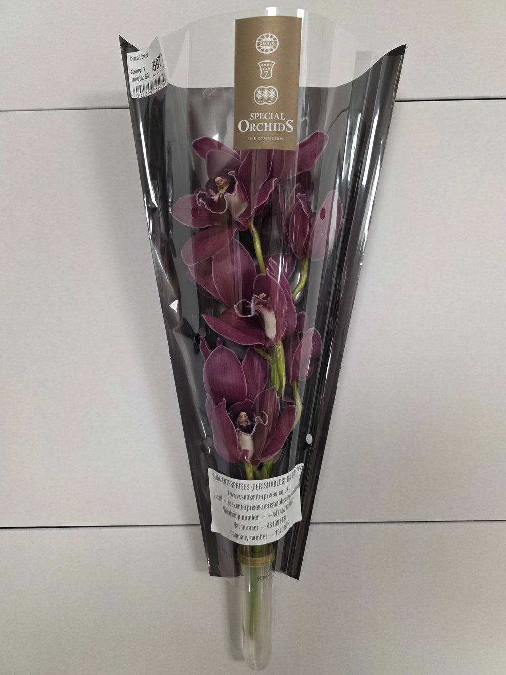 Farm Fresh Orchid/Cymbidium Tak Brera (Bunch of 1 stems, Length 50cm)