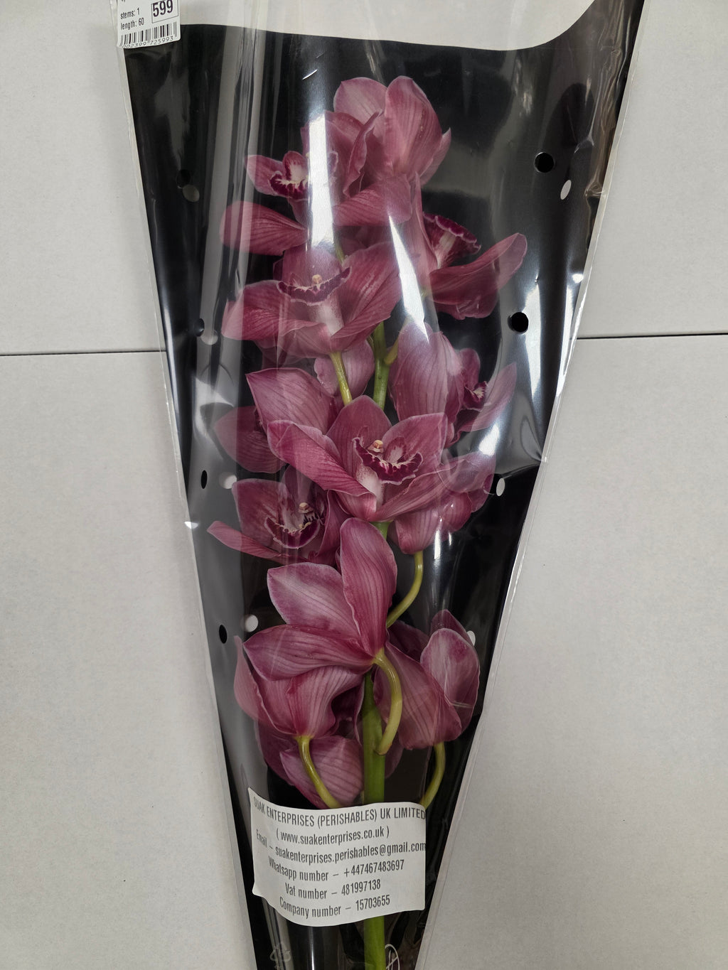 Farm Fresh Orchid/Cymbidium Tak Brilliance (Bunch of 1 stems, Length 60cm)