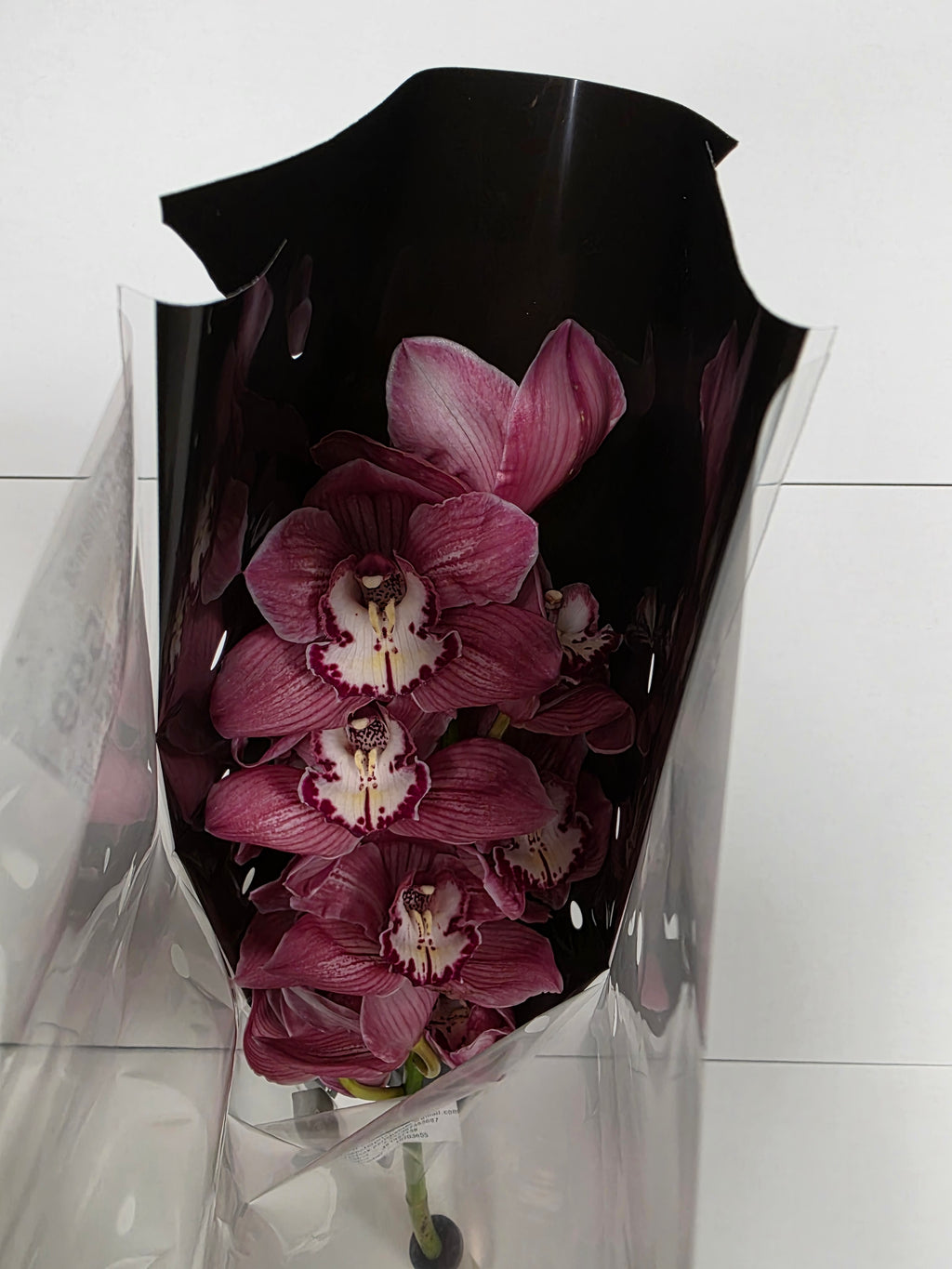 Farm Fresh Orchid/Cymbidium Tak Brilliance (Bunch of 1 stems, Length 60cm)