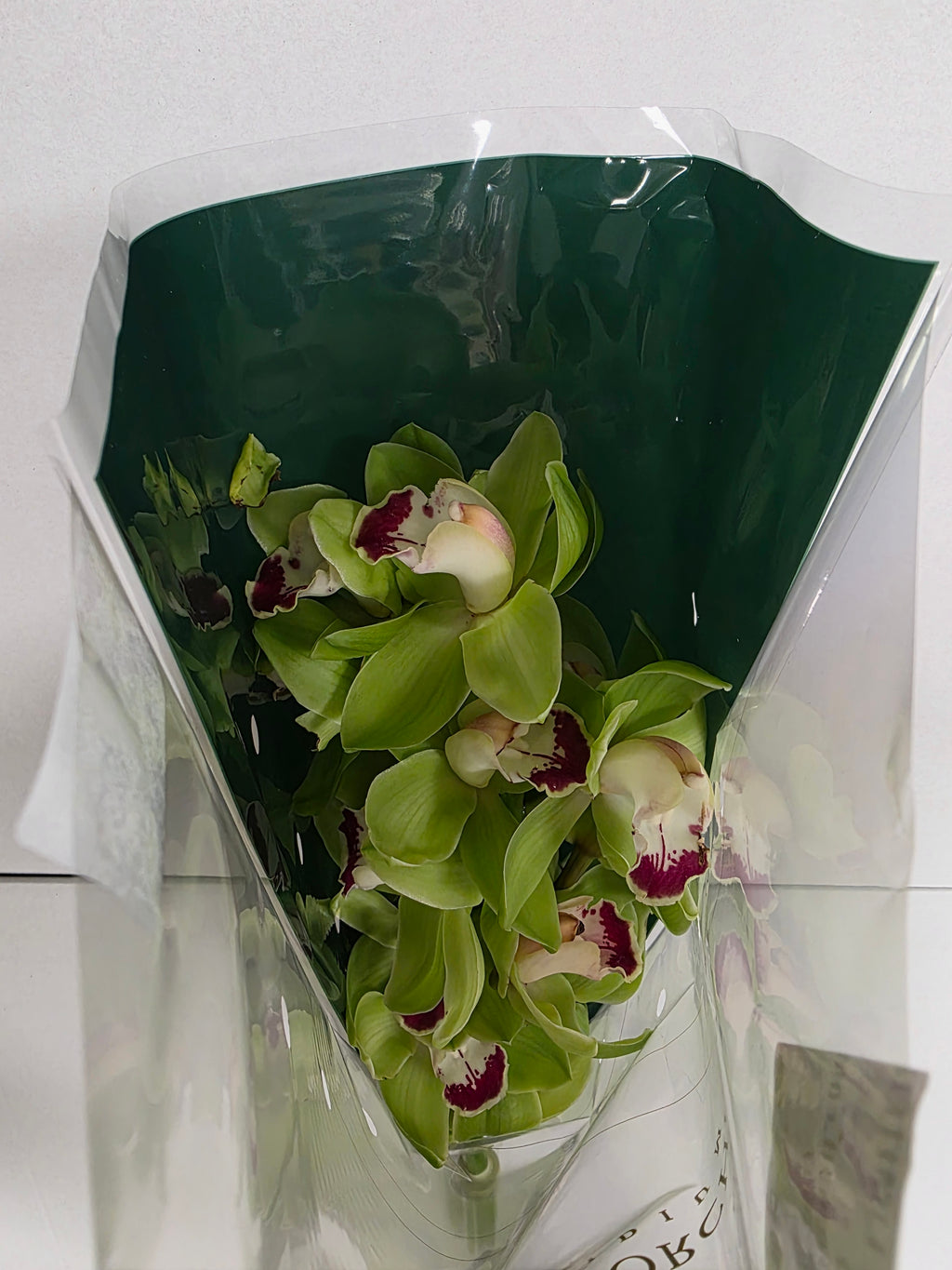 Farm Fresh Orchid/Cymbidium Tak Hms Palermo (Bunch of 1 stems, Length 60cm)