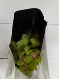 Farm Fresh Orchid/Cymbidium Tak Mrs Maxima (Bunch of 1 stems, Length 80cm)