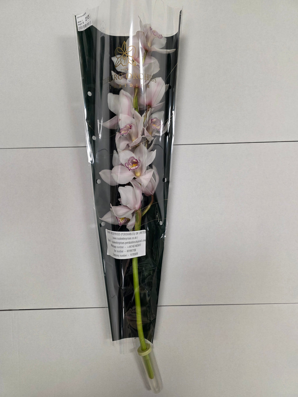 Farm Fresh Orchid/Cymbidium Tak Noorderlich (Bunch of 1 stems, Length 80cm)