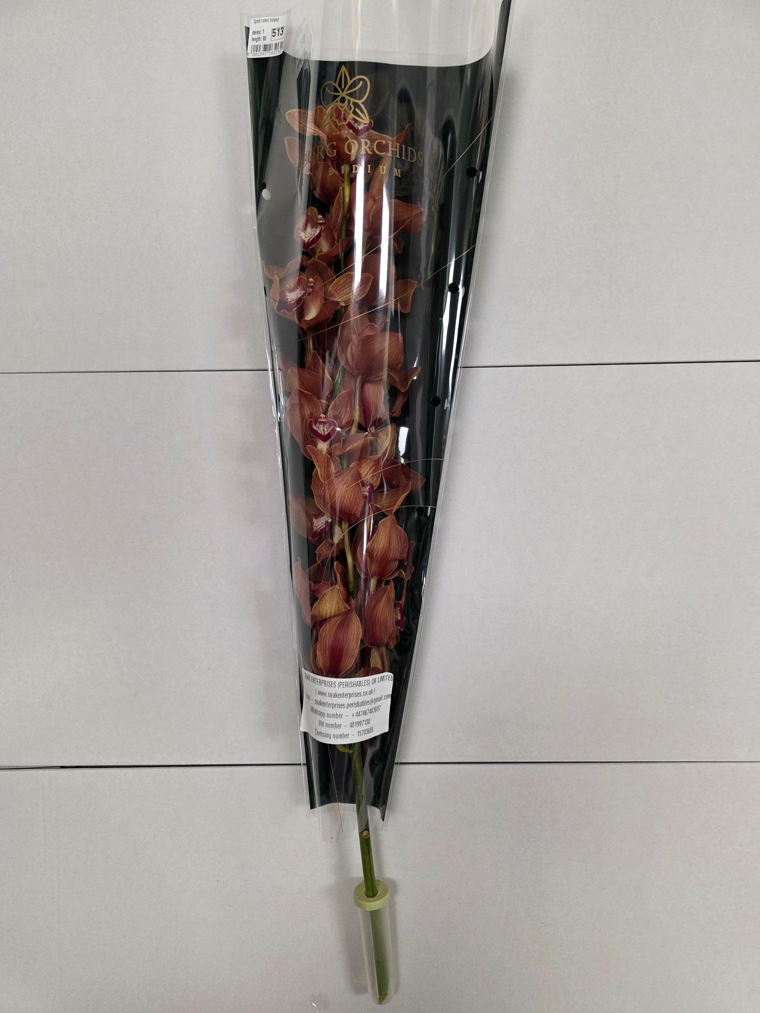 Farm Fresh Orchid/Cymbidium Tak Oranj Holland (Bunch of 1 stems, Length 80cm)