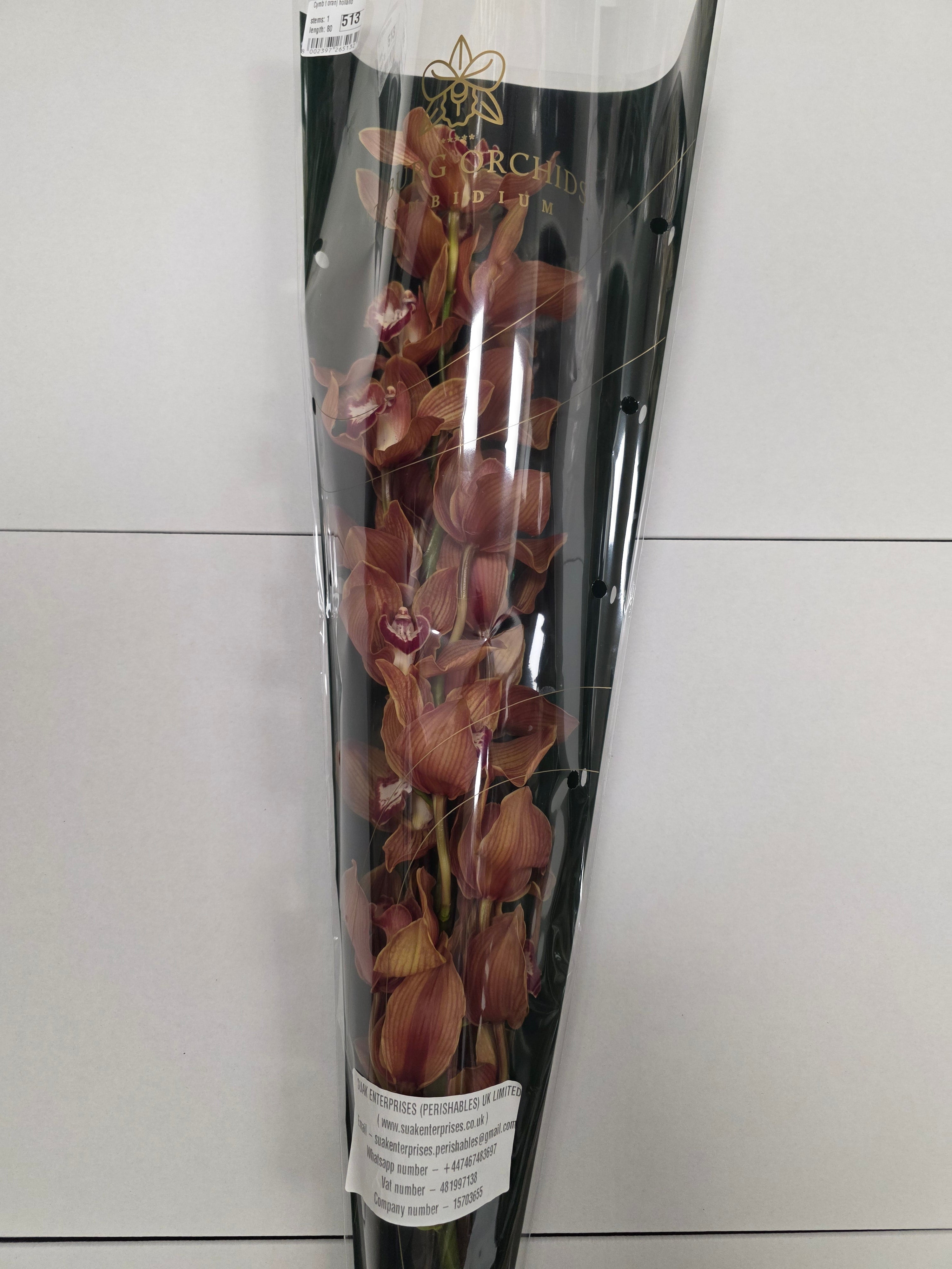Farm Fresh Orchid/Cymbidium Tak Oranj Holland (Bunch of 1 stems, Length 80cm)