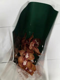 Farm Fresh Orchid/Cymbidium Tak Oranj Holland (Bunch of 1 stems, Length 80cm)