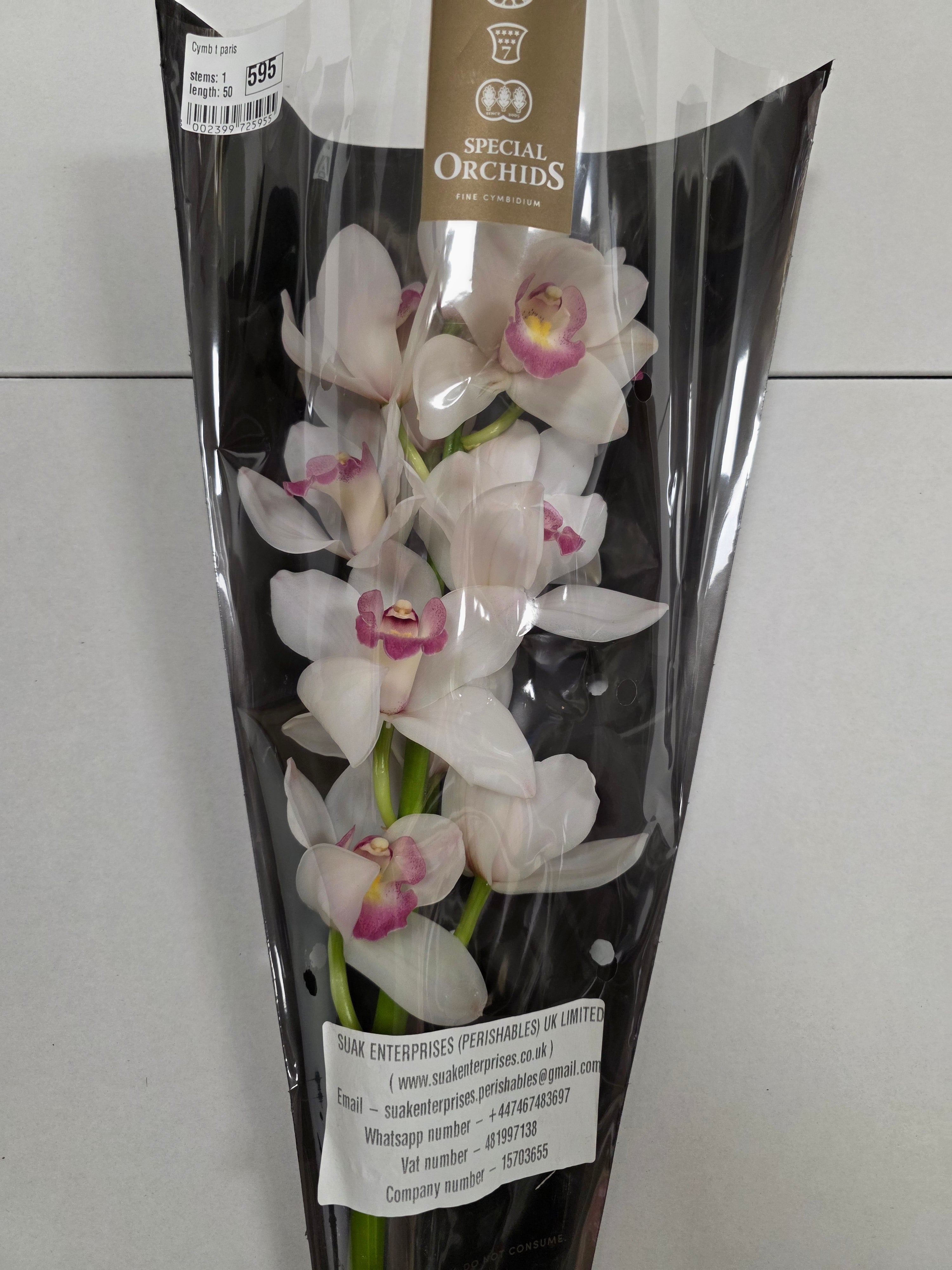 Farm Fresh Orchid/Cymbidium Tak Paris (Bunch of 1 stems, Length 50cm)