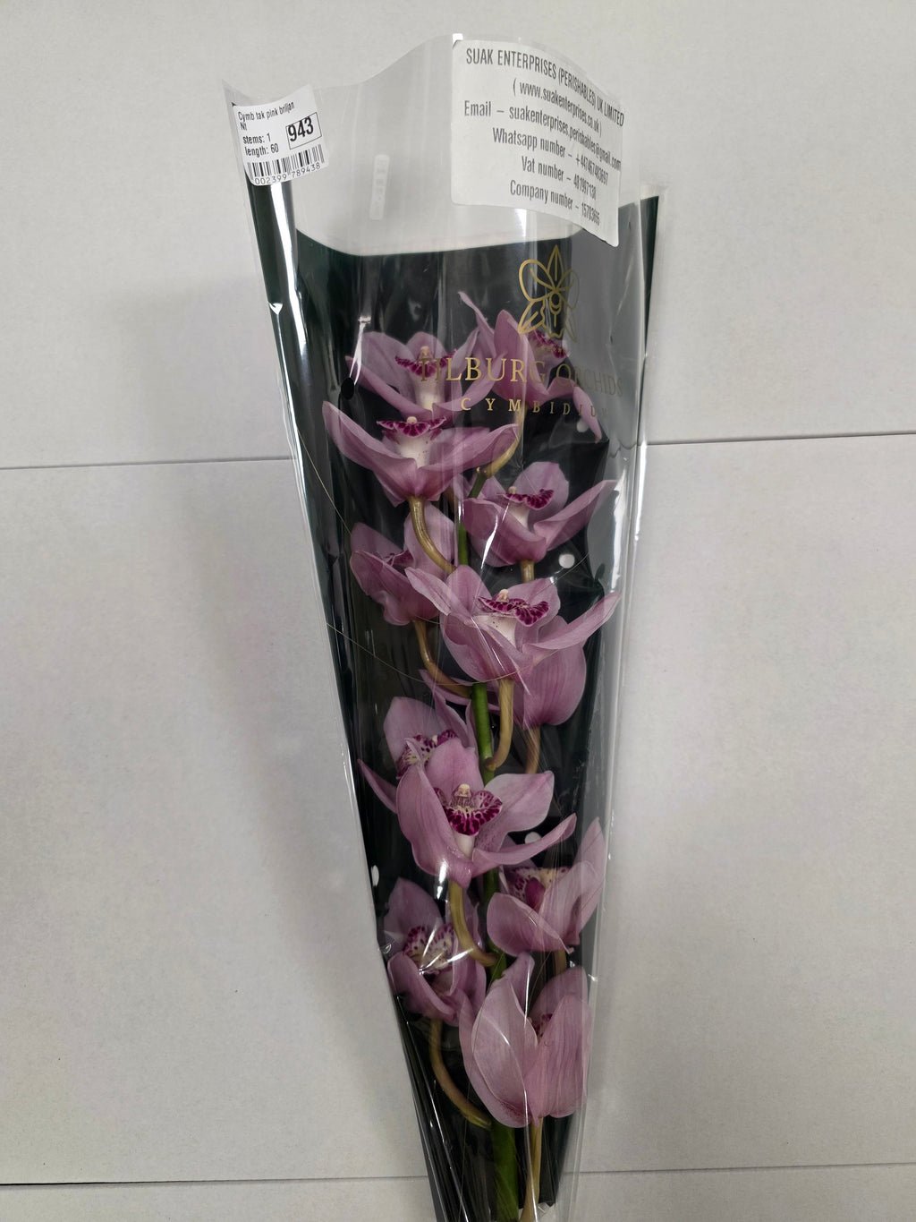 Farm Fresh Orchid/Cymbidium Tak Pink Briljant (Bunch of 1 stems, Length 60cm)