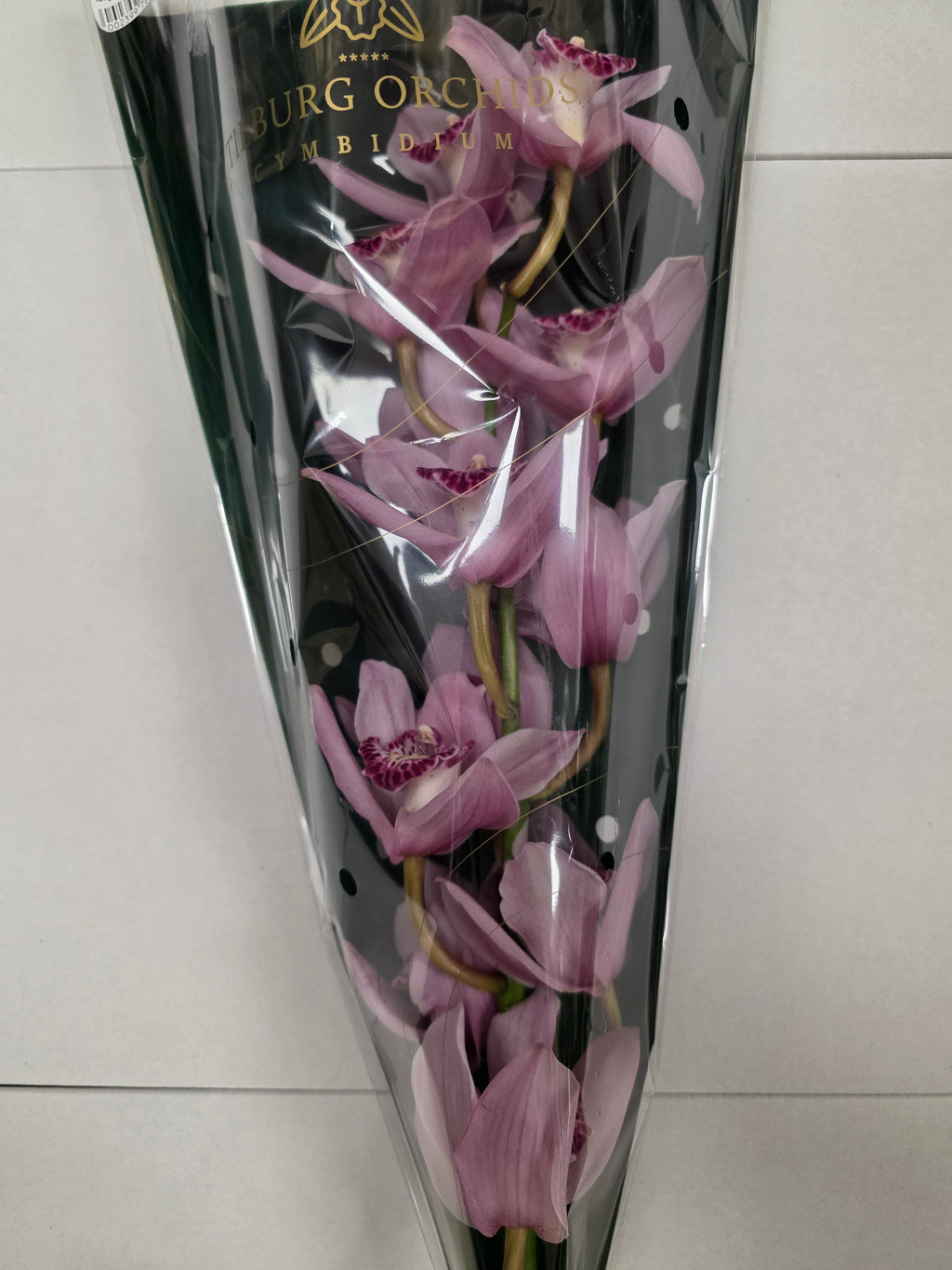 Farm Fresh Orchid/Cymbidium Tak Pink Briljant (Bunch of 1 stems, Length 60cm)