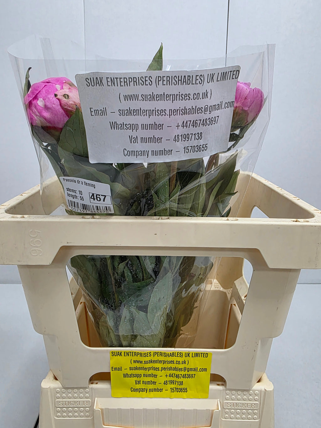 Farm Fresh Paeonia Dr A Fleming (Bunch of 10stems, Length 55cm)