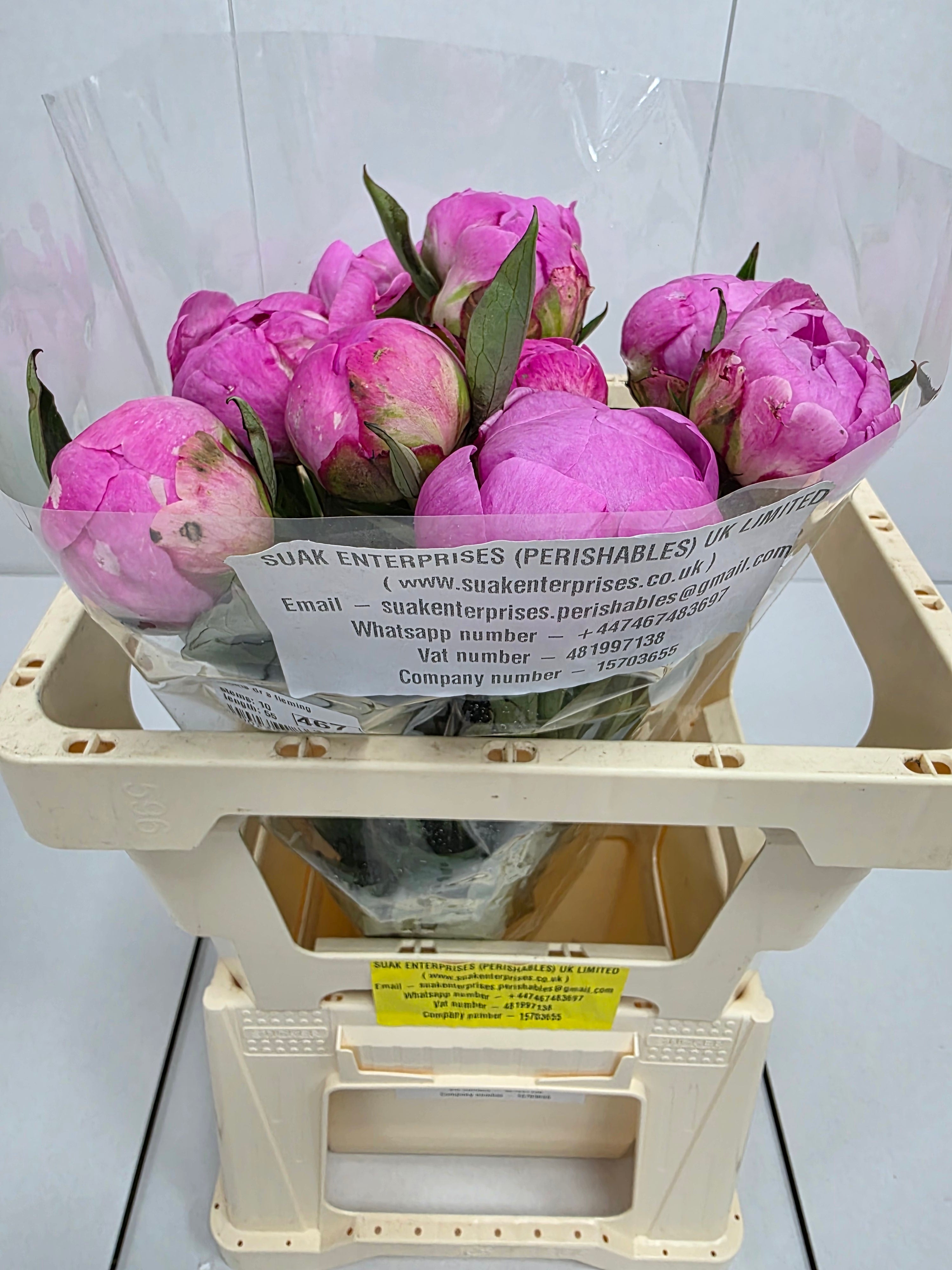 Farm Fresh Paeonia Dr A Fleming (Bunch of 10stems, Length 55cm)