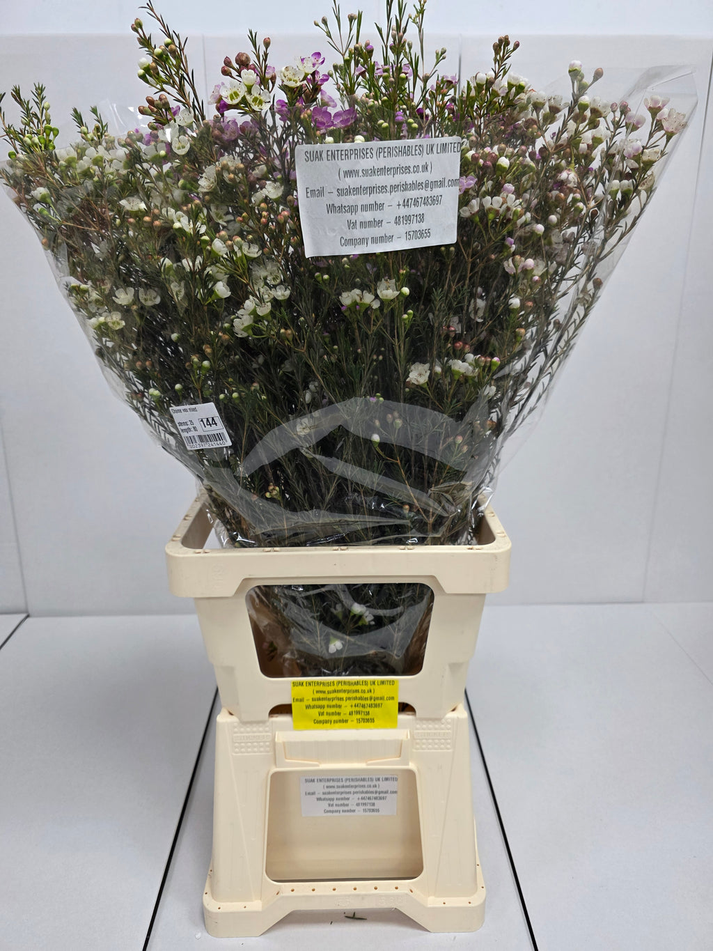 Farm Fresh Chame Wax Mixed(Bunch of 25 stems, Length 80cm)