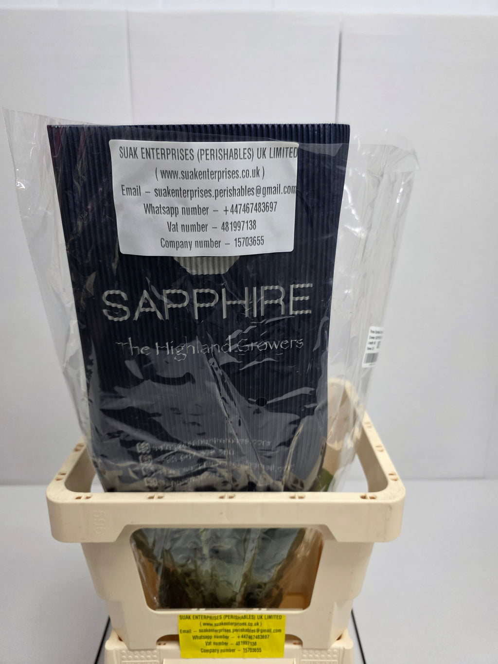 Farm Fresh Rosa Ecuadorian Gr Garden Cotton Xpression (Bunch of 25 stems, Length 70cm)