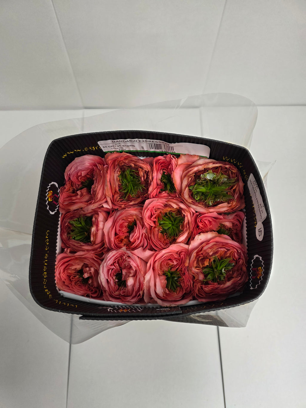 Farm Fresh Rosa Ecuadorian Gr Garden Mandarian Xpression(Bunch of 25 stems, Length 50cm)